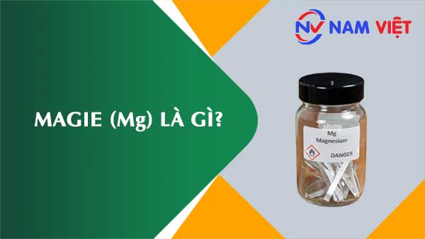Magie ảnh hưởng như thế nào đến sức khỏe người lao động?