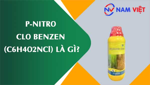 p-Nitro clo benzen ảnh hưởng như thế nào đến sức khỏe người lao động?