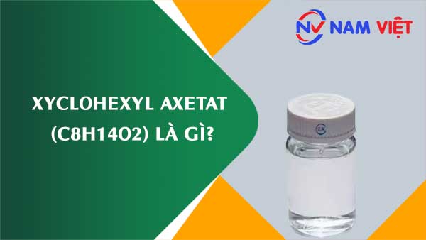 Xyclohexyl axetat ảnh hưởng như thế nào đến sức khỏe người lao động?