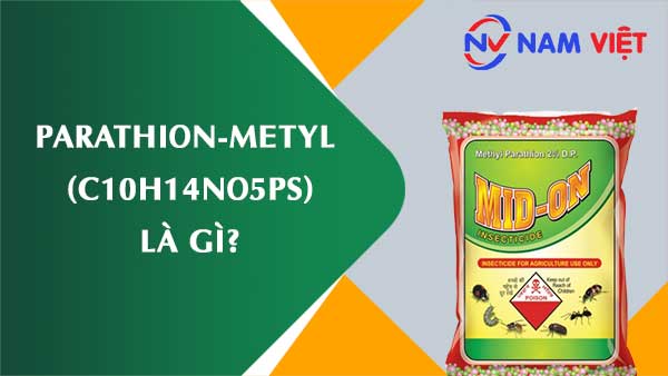 Parathion-metyl ảnh hưởng như thế nào đến sức khỏe người lao động?