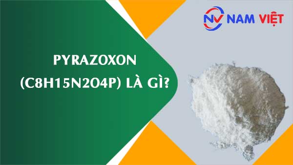 Pyrazoxon ảnh hưởng như thế nào đến sức khỏe người lao động?