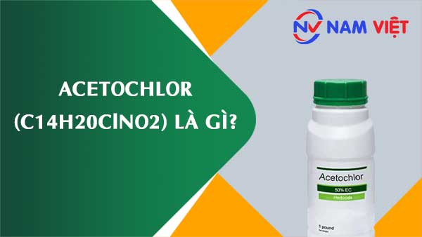 Acetochlor ảnh hưởng như thế nào đến sức khỏe người lao động?