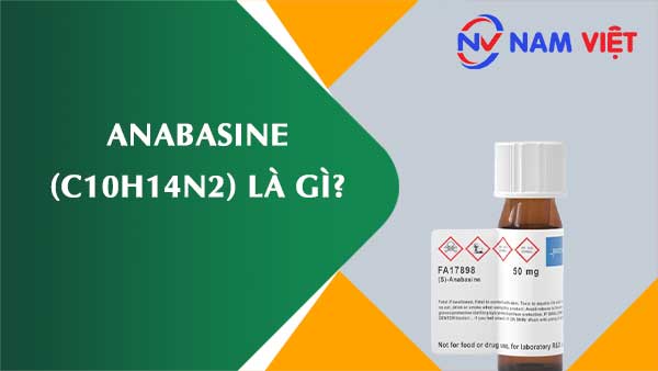 Anabasine ảnh hưởng như thế nào đến sức khỏe người lao động