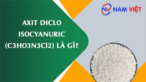 Axit diclo isocyanuric ảnh hưởng như thế nào đến sức khỏe người lao động?