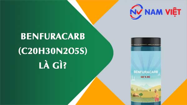 Benfuracarb ảnh hưởng như thế nào đến sức khỏe người lao động?
