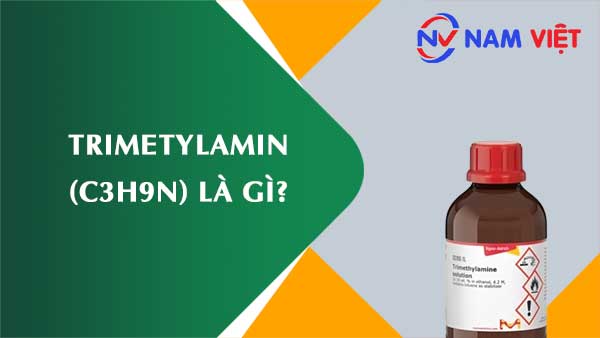Trimetylamin ảnh hưởng như thế nào đến sức khỏe người lao động?