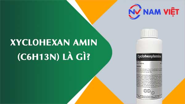 Xyclohexan amin ảnh hưởng như thế nào đến sức khỏe người lao động?