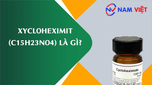 Xycloheximit ảnh hưởng như thế nào đến sức khỏe người lao động?
