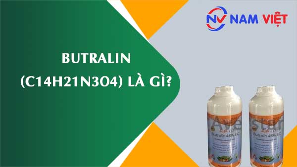 Butralin ảnh hưởng như thế nào đến sức khỏe người lao động?