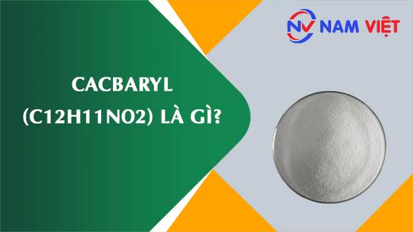 Cacbaryl ảnh hưởng như thế nào đến sức khỏe người lao động?