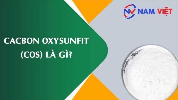 Cacbon oxysunfit ảnh hưởng như thế nào đến sức khỏe người lao động?