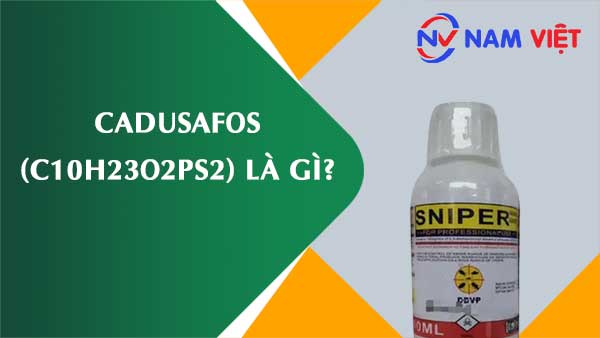 Cadusafos ảnh hưởng như thế nào đến sức khỏe người lao động?