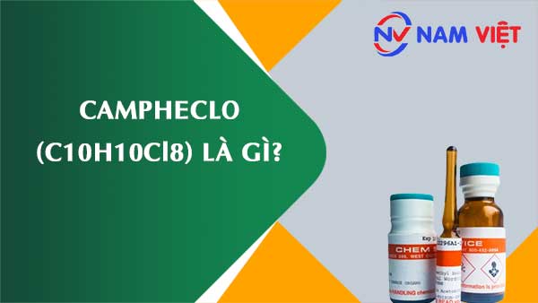Campheclo ảnh hưởng như thế nào đến sức khỏe người lao động?