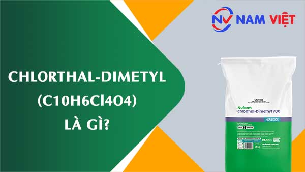 Chlorthal-dimetyl ảnh hưởng như thế nào đến sức khỏe người lao động?