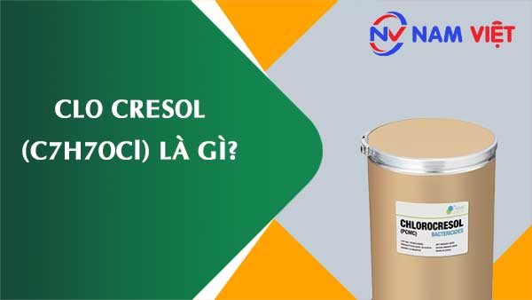 Clo cresol ảnh hưởng như thế nào đến sức khỏe người lao động?