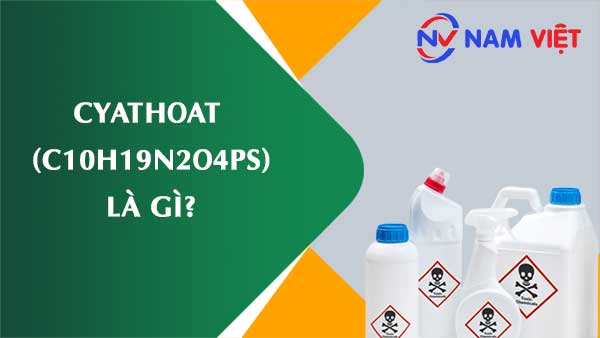 Cyathoat ảnh hưởng như thế nào đến sức khỏe người lao động?