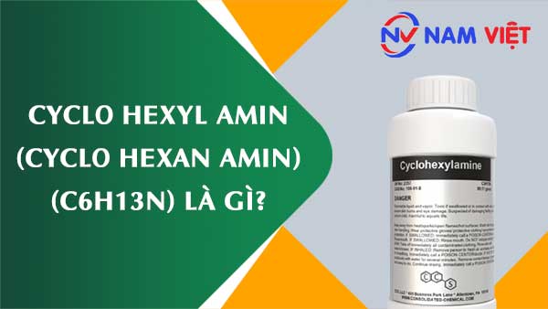 Cyclo hexyl amin (Cyclo hexan amin) ảnh hưởng như thế nào đến sức khỏe người lao động?