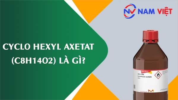Cyclo hexyl axetat ảnh hưởng như thế nào đến sức khỏe người lao động?