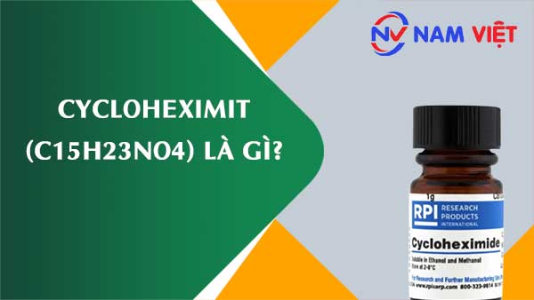 Cycloheximit ảnh hưởng như thế nào đến sức khỏe người lao động?
