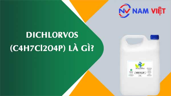 Dichlorvos ảnh hưởng như thế nào đến sức khỏe người lao động?