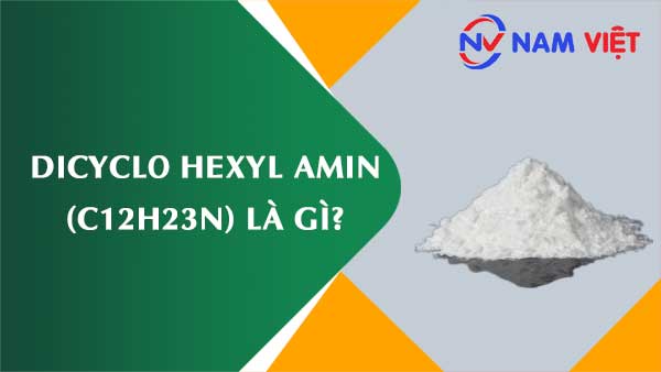 Dicyclo hexyl amin ảnh hưởng như thế nào đến sức khỏe người lao động?