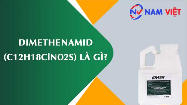 Dimethenamid ảnh hưởng như thế nào đến sức khỏe người lao động?