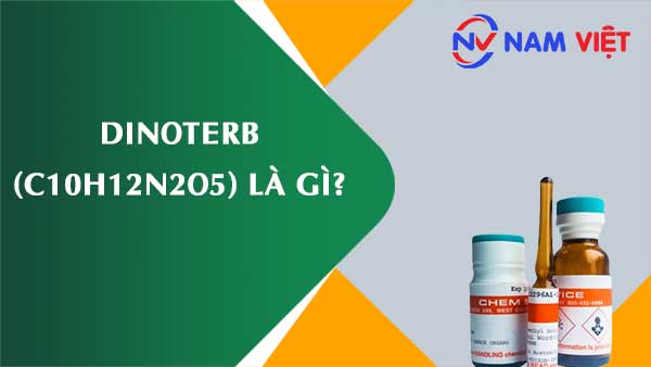 Dinoterb ảnh hưởng như thế nào đến sức khỏe người lao động?