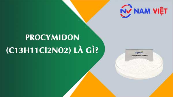 Procymidon ảnh hưởng như thế nào đến sức khỏe người lao động?