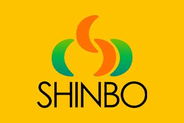 Huấn luyện an toàn lao động tại CÔNG TY TNHH SHINBO VI NA